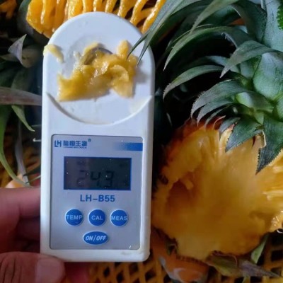 海南金钻凤梨17号新鲜水果当季无眼菠萝整箱顺丰快递5斤现摘图3