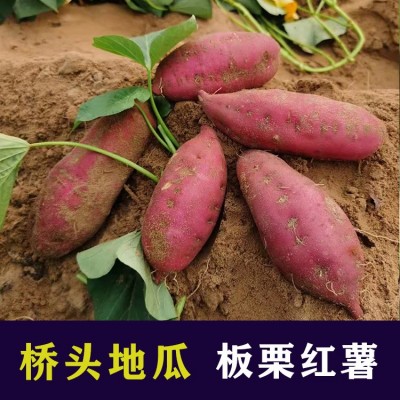 正宗海南澄迈桥头地瓜新鲜板栗红薯产地直销顺丰快递礼盒包装图1