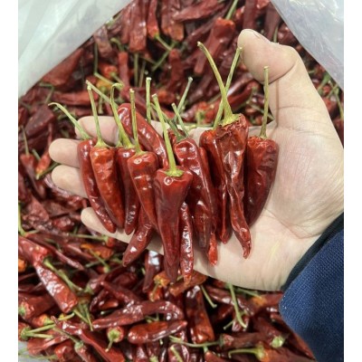 正宗福建辣椒王 香辣耐煮特辣干辣椒 卤味专用图2