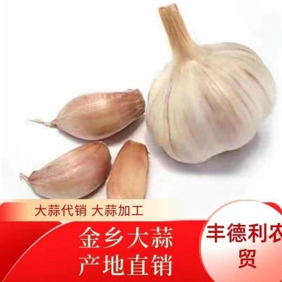 丰德利农贸 常年代收代储批发大蒜产地直接发