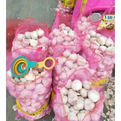 丰德利新鲜有机大蒜 颗粒饱满 水分充足 可大量采购图3