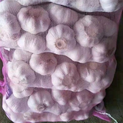 丰德利新鲜有机大蒜 颗粒饱满 水分充足 可大量采购图4