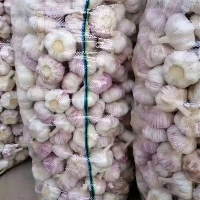 新鲜白皮大蒜 可做加工 用于调味 辛辣爽口 1吨起售图5