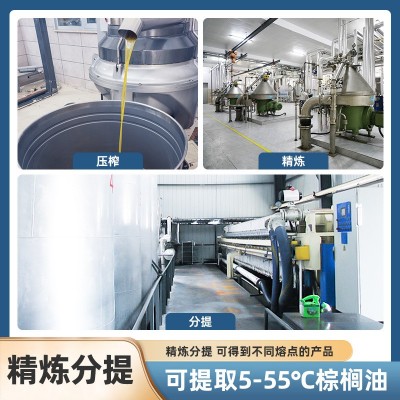 5~10度按需定制棕榈油油炸专用食品级耐高温成品桶装分提超级液油图2