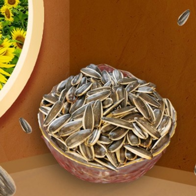 原味香瓜子批发 销售优惠葵花籽 香味浓郁 原料精筛细选图5