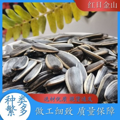 红日金山 五香瓜子现炒 干炒瓜子 长期供应 仁大饱满 产地批发直营图2