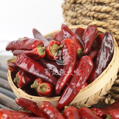 产地货源重庆石柱红3号干红辣椒火锅炒料增香增辣提色原材料500g图3