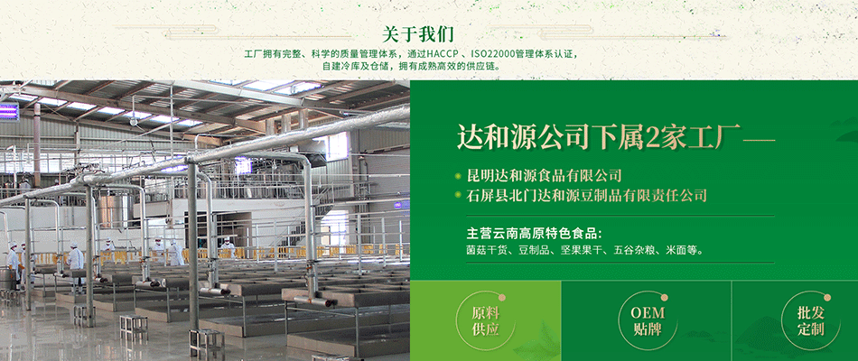 公司介绍