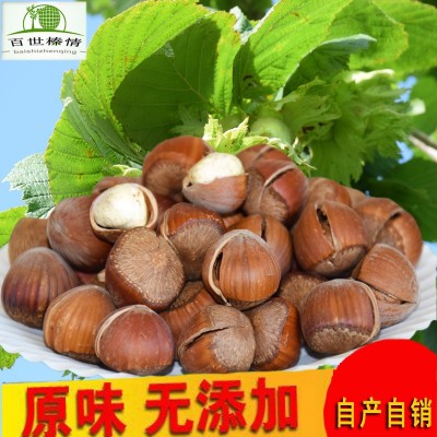 百世榛情东北榛子开口熟新货原味袋装500g平欧大榛子坚果批发图1