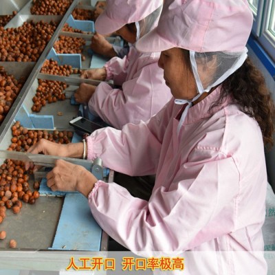 百世榛情东北榛子开口熟新货原味袋装500g平欧大榛子坚果批发图3