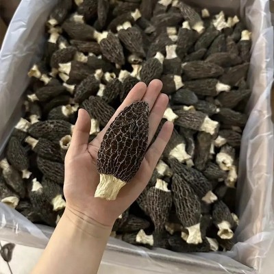 羊肚菌干货云南原产地批发价便宜羊肚菌干菌一件代发规格齐全批发图2