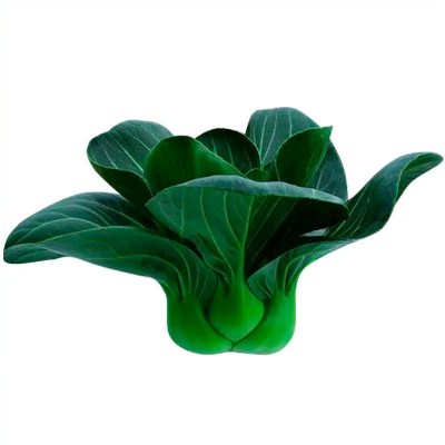 理想小青菜种子四季上海青苏州青油菜籽青梗菜鸡毛菜蔬菜种子批发图5