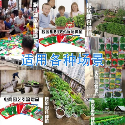 蔬菜种子批发种籽草莓番茄菜籽批发袋装水果种子南瓜种子种 子批發图2