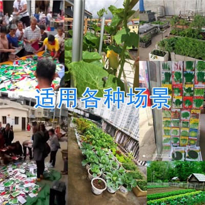 蔬菜种子批发袋装番茄人参果菜种摆摊瓜水果菜籽原种厂家批发籽图3
