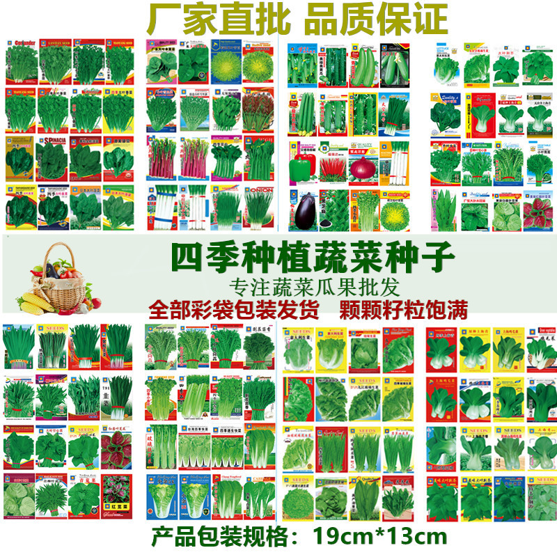 未命名_副本0_副本