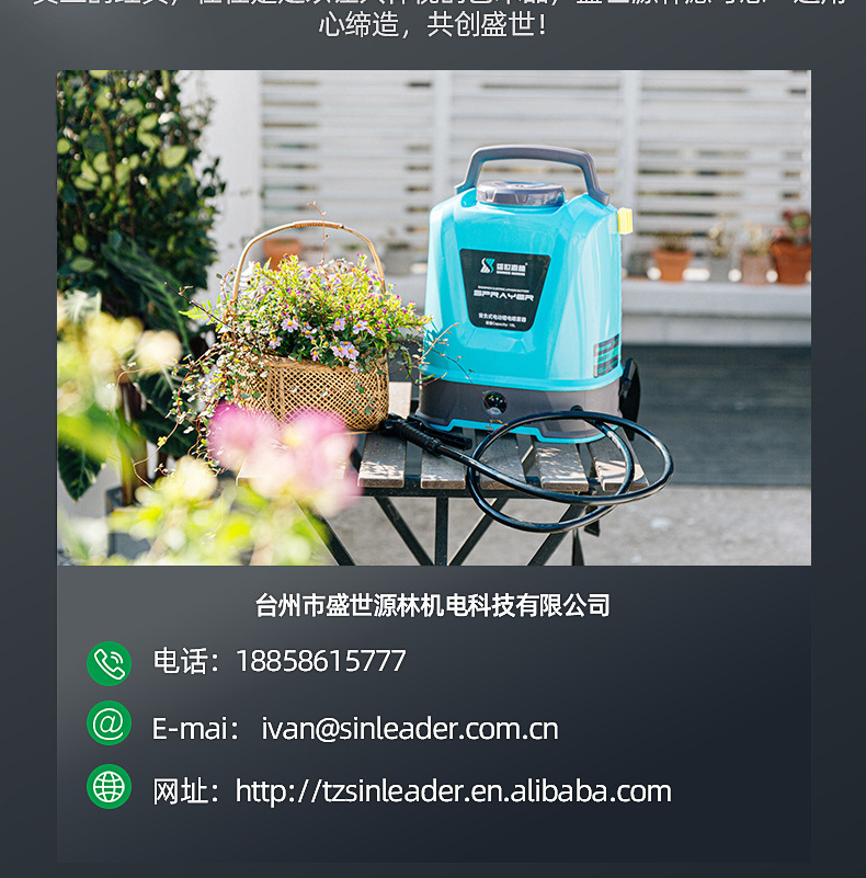 01 (19)