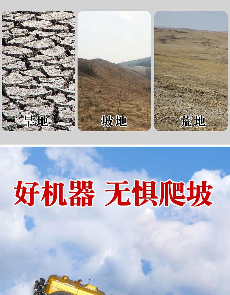 详情_04.jpg