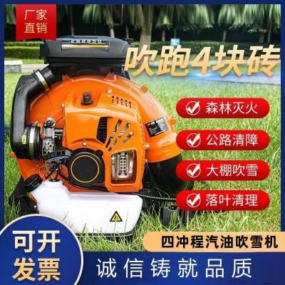 背负式汽油吹风机大棚马路吹雪机大功率落叶工地消防风力 灭火机图3