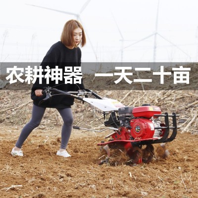 多功能微耕机小型小型旋耕机柴油犁地机打地机翻土机松土 锄草机图3