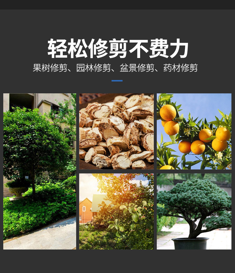5530M详情_13.jpg