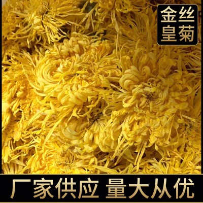2024金丝皇菊散货批发大朵一朵一杯菊花金丝婺源散货产地基地供应