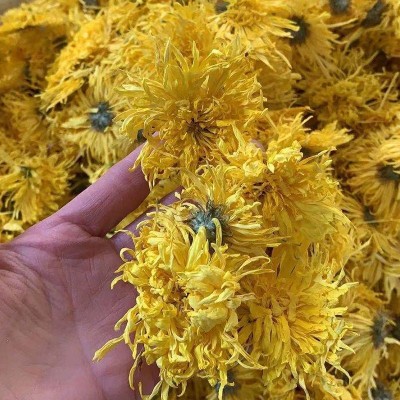 2024金丝皇菊散货批发大朵一朵一杯菊花金丝婺源散货产地基地供应图2