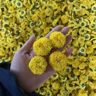 婺源散装批发皇菊菊花菊花茶黄菊桃菊球菊乒乓球菊大货批发图4
