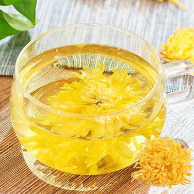 金丝皇菊罐装批发 黄山产地直供 20g每罐花茶皇菊花茶产地批图3