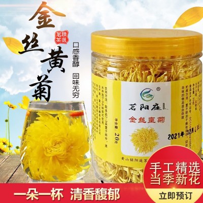 金丝皇菊罐装批发 黄山产地直供 20g每罐花茶皇菊花茶产地批
