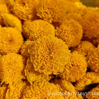 新花婺源黄菊散装 徽州皇菊 大朵菊花 菊花茶一朵一杯礼盒装图2