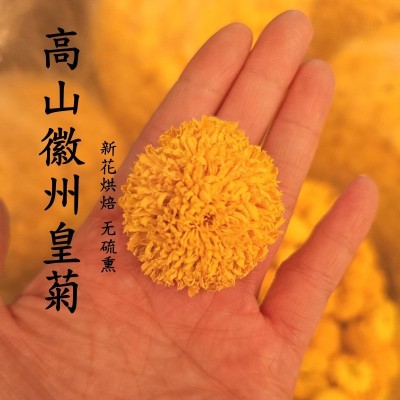 菊花茶徽州皇菊一朵一杯大朵婺源皇菊贡菊正品绣球黄菊图3