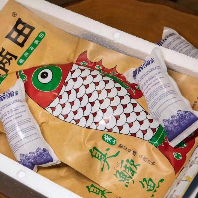 安徽特产黄山汪满田臭鳜鱼徽州腌制臭桂鱼半成品8两~1.6斤批发零图5