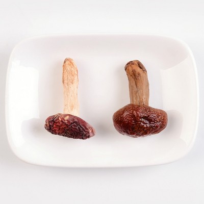 福建红菇 正红菇干货 特产红蘑菇散装500g养生食用菌批发图4