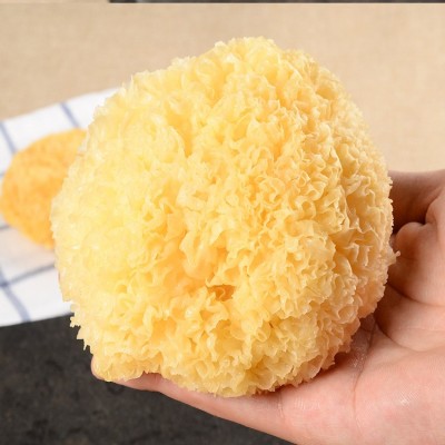 古田丑耳银耳 白木耳糯耳雪耳500g干货食用菌 厂家货源代发批发图4
