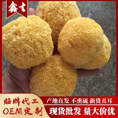 古田丑耳银耳 白木耳糯耳雪耳500g干货食用菌 厂家货源代发批发图1