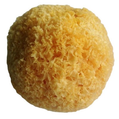 古田丑耳银耳 白木耳糯耳雪耳500g干货食用菌 厂家货源代发批发图5