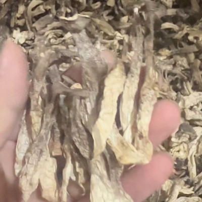 鹿茸菇鹿茸菌干货500g净重土特产农副产品食用菌酒店食材直供5-7c图5