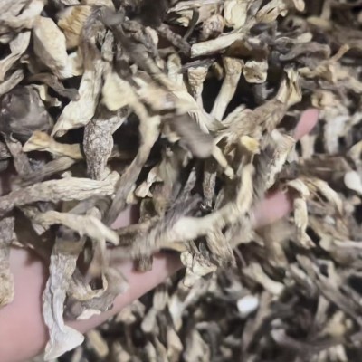鹿茸菇鹿茸菌干货500g净重土特产农副产品食用菌酒店食材直供5-7c图2