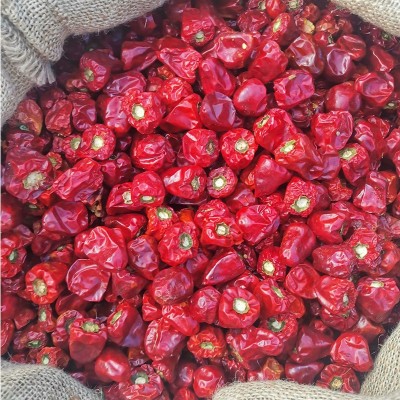 散装灯笼海椒干辣椒微辣特香火锅调味品500g散装川菜调味料干辣椒图4