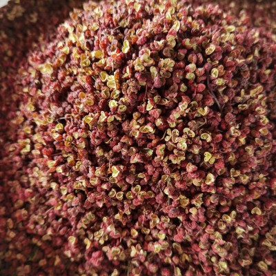 云南青花椒 茂汶红花椒 江津青麻椒粒批发 500g 量大从优 包邮图4
