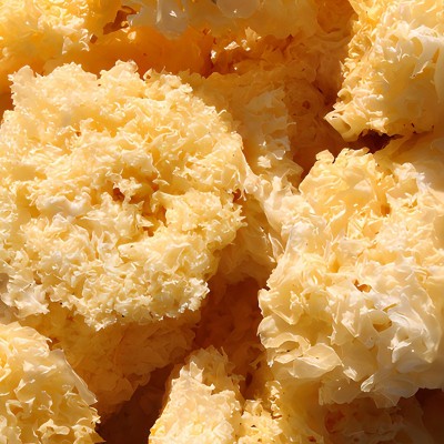 福建古田银耳整朵500g散装特产银耳子食用菌白木耳大雪耳现货批发图3