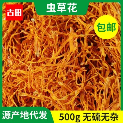 福建古田特产虫草花500g蛹虫草散装食用菌干货北冬虫夏草现货批发图1