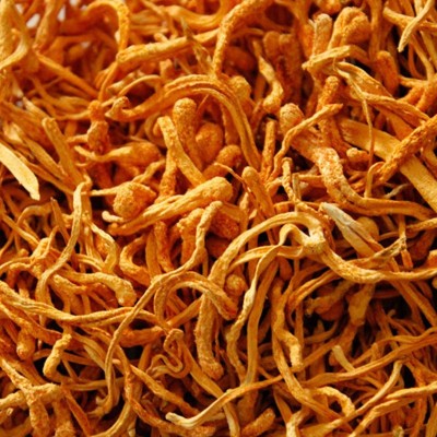福建古田特产虫草花500g蛹虫草散装食用菌干货北冬虫夏草现货批发图4