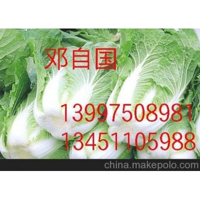 湖北嘉鱼供应青杂白菜图4
