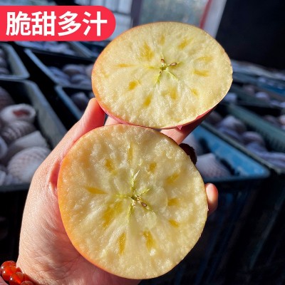 新疆阿克苏冰糖心苹果水果特级大果新鲜丑苹果整箱10斤顺丰包邮图4