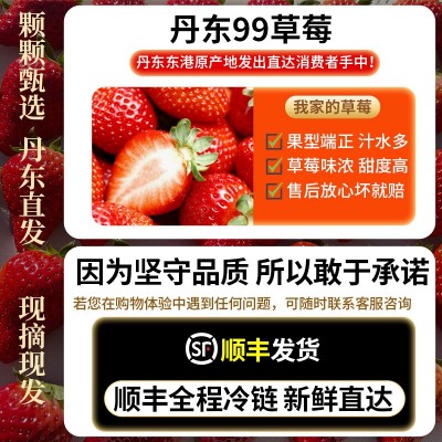 现货丹东99草莓礼盒送人顺丰包邮当季水果红颜九九甜草莓产地直发图1