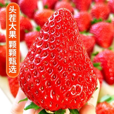 现货丹东99草莓礼盒送人顺丰包邮当季水果红颜九九甜草莓产地直发图3