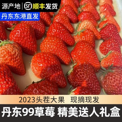 现货丹东99草莓礼盒送人顺丰包邮当季水果红颜九九甜草莓产地直发图2