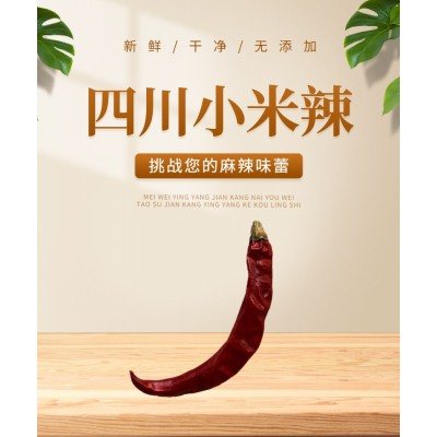辣椒干辣椒特辣特香四川小米辣二荆条子弹头魔鬼辣变态辣 朝天椒图2