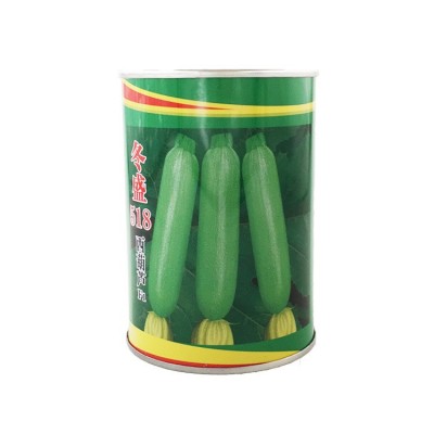 越冬早春翠绿油亮西葫芦种子粒尔田冬盛518西葫芦种籽基地用种图5